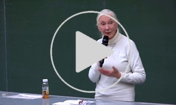 Veranstaltung Dr. Jane Goodall